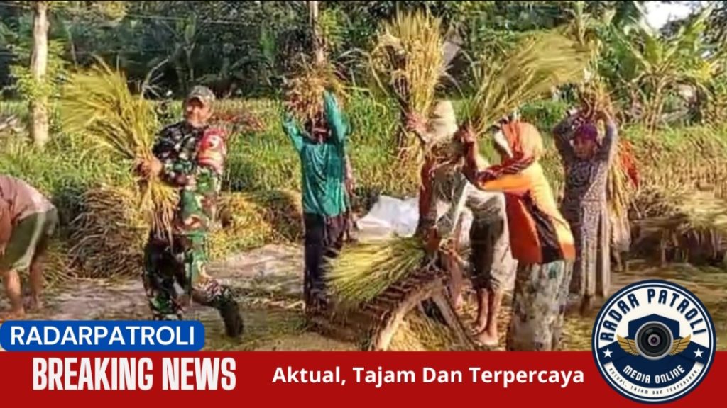 Turun ke Sawah, Serda Syamsudin Tunjukkan Kepedulian TNI terhadap Ketahanan Pangan