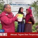 KWT Desa Kalianan Ubah Limbah Susu Jadi Pupuk Organik Cair Berkat Kolaborasi Dengan PLN NP UP Paiton