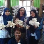 UPM Dampingi UKM Mahkota Jamur Sentana, Panen Meningkat Dan Lahir Produk Kaldu Jamur