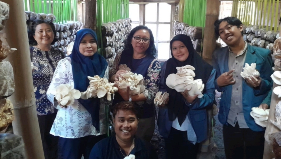 UPM Dampingi UKM Mahkota Jamur Sentana, Panen Meningkat Dan Lahir Produk Kaldu Jamur