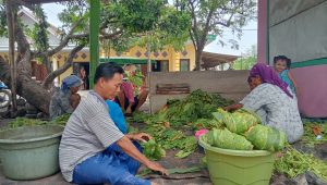 Perangkat Desa Sumberkare Rudianto Kembangkan Usaha Tembakau sebagai Pekerjaan Sampingan