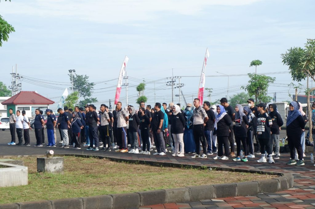 WhatsApp Image 2025-11-14 at 11_36_25