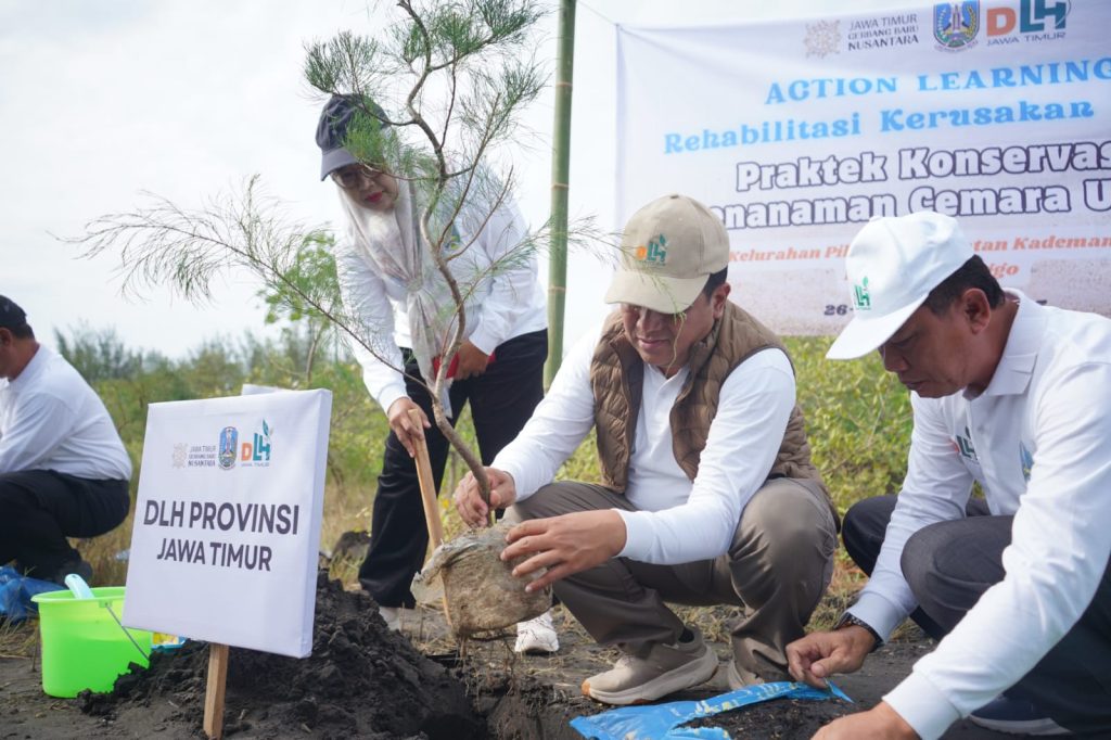 WhatsApp Image 2025-11-27 at 12_19_54