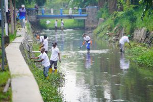 WhatsApp Image 2025-12-19 at 10_31_58