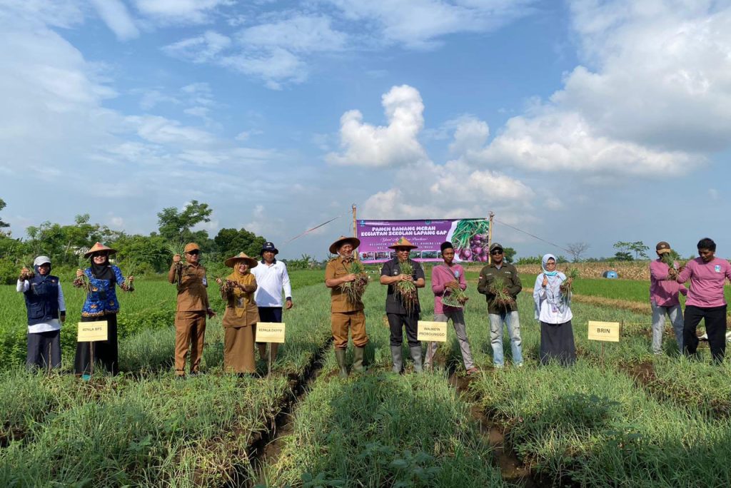 WhatsApp Image 2025-12-22 at 15_49_16