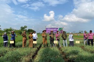 WhatsApp Image 2025-12-22 at 15_49_16