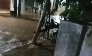 Hujan Lebat Picu Banjir Di Sumberbendo, Camat Sumberasih Dan Forkopimcam Turun Langsung Ke Lokasi