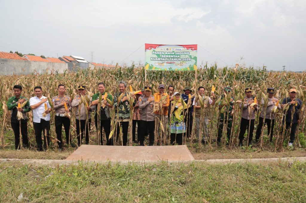 WhatsApp Image 2026-01-08 at 13_02_17