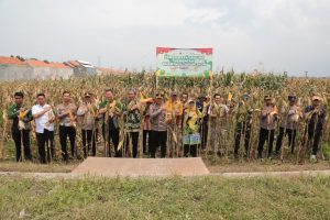 WhatsApp Image 2026-01-08 at 13_02_17