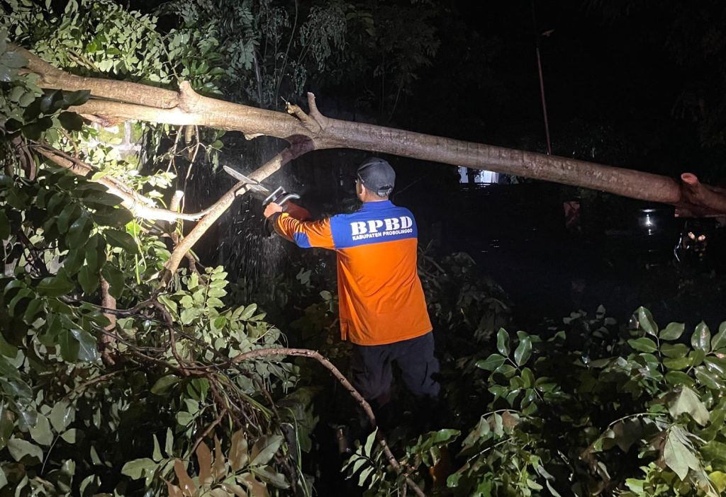 WhatsApp-Image-2026-01-16-at-22.41.32-1