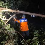 WhatsApp-Image-2026-01-16-at-22.41.32-1