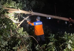 WhatsApp-Image-2026-01-16-at-22.41.32-1