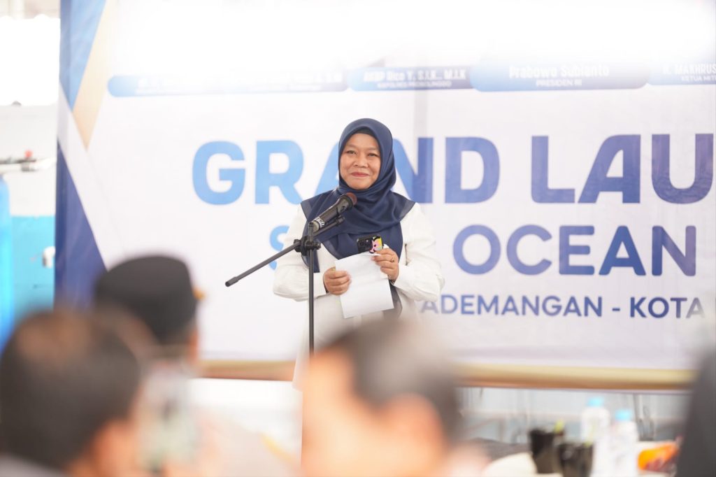 WhatsApp Image 2026-02-06 at 14_07_48