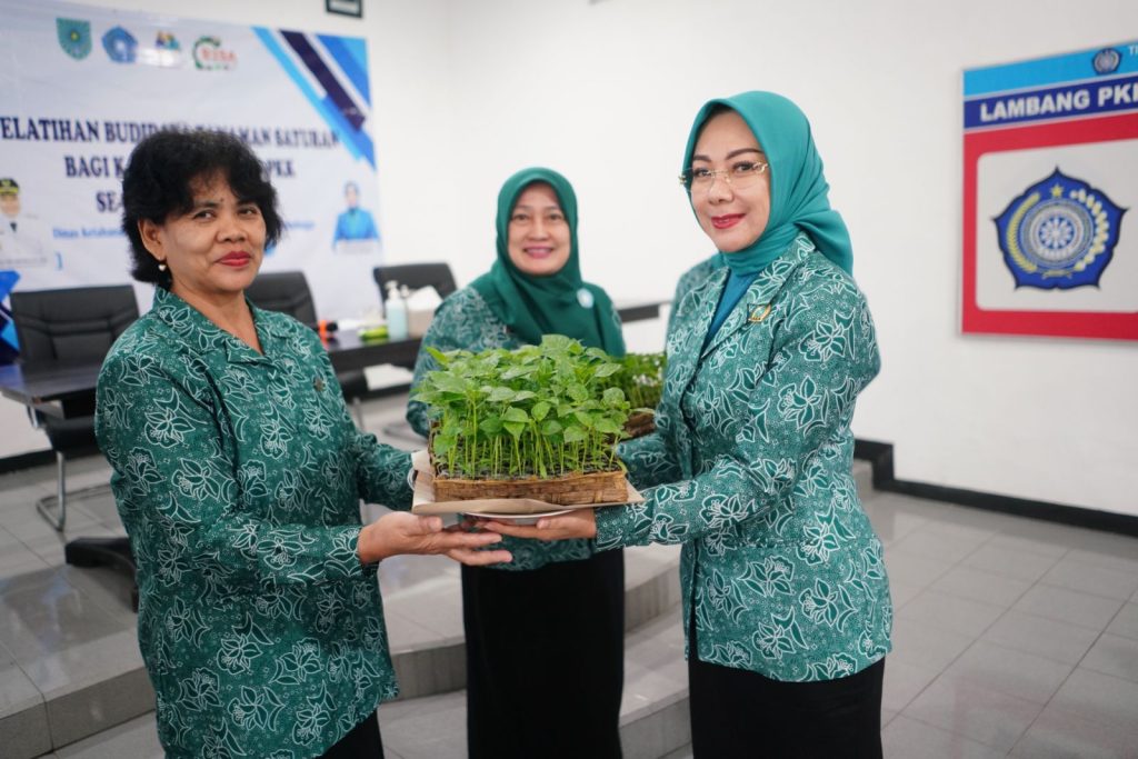 WhatsApp Image 2026-02-13 at 11_06_44