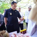 WhatsApp Image 2026-03-11 at 11_50_52