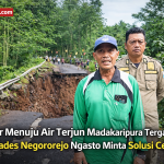 b196d8b8-6ede-462a-abac-378ff4fb1f6c