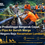 file_000000008ec871fa935a12f2660d45d0