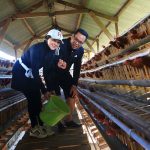 1775380308_11655632bc8e62fa30fd