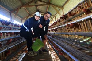 1775380308_11655632bc8e62fa30fd