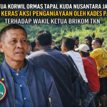 54638085-807a-42c7-a53d-c1b04560fc87