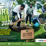 69c9ff70-833c-4793-b767-ba28806df774