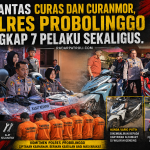 70855a82-fed2-4af2-977a-108bb8dcfdb3