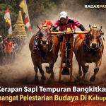 72c78ea0-786b-4a8e-a73b-b7f5025c45b5