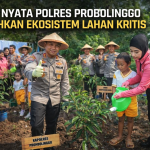 d5879314-8ac4-4712-b254-f16d1d25c334