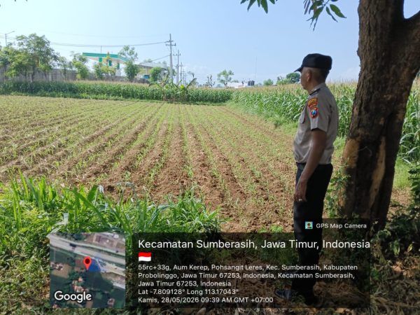 IMG-20260529-WA0012