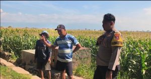 Polri Hadir untuk Petani, Bhabinkamtibmas Ketapang Kawal Program Ketahanan Pangan