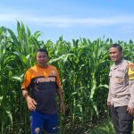 Bhabinkamtibmas Sumber Wetan Ajak Petani Dukung Program Ketahanan Pangan Nasional