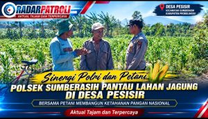Oplus_16908288