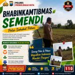 Polisi Tongas Dampingi Petani, Pantau Lahan Jagung 8.000 Meter Persegi di Sumendi