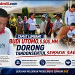 Oplus_16908288