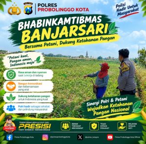 Polisi Pantau Lahan Jagung Binaan 10 Hektare di Banjarsari, Dukung Ketahanan Pangan